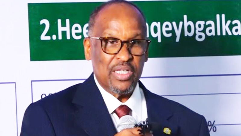 somaliguardian Abdullahi Godah Barre on exam results Somalia