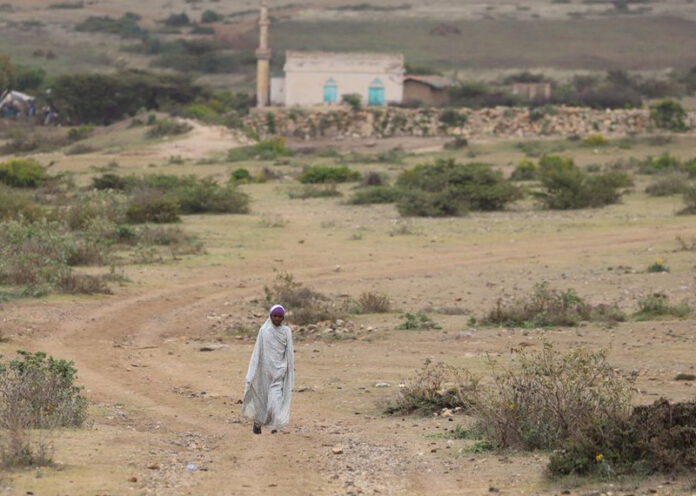 Ethiopia Afar Somali Somaliguardian news Ethiopia