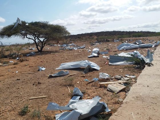 242038459 1269801490119975 7311649549330664852 n 1