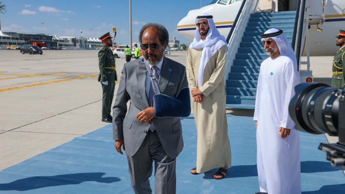 Tensions flare between Somalia and UAE as relations hit new low Somalia