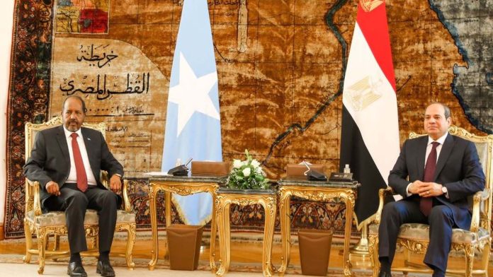 Somali, Egyptian presidents