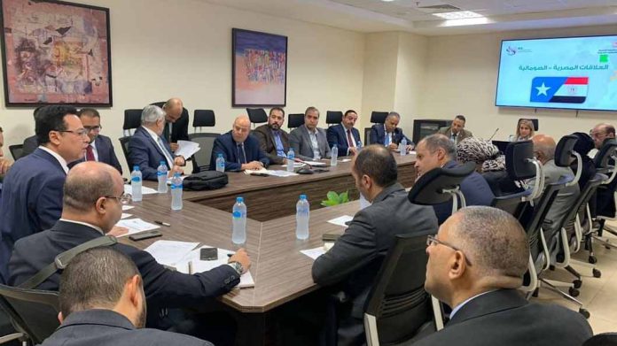 Somalia, Egypt agree to boost trade volume to $100M in 3 years Somalia