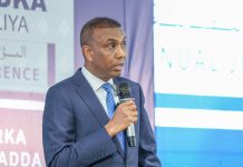Somalia security minister sacks senior immigration official after major e-visa data breach Somali