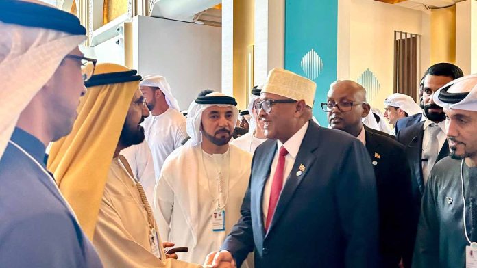 Somaliland president Irro meets UAE vice president  Somaliland, UAE