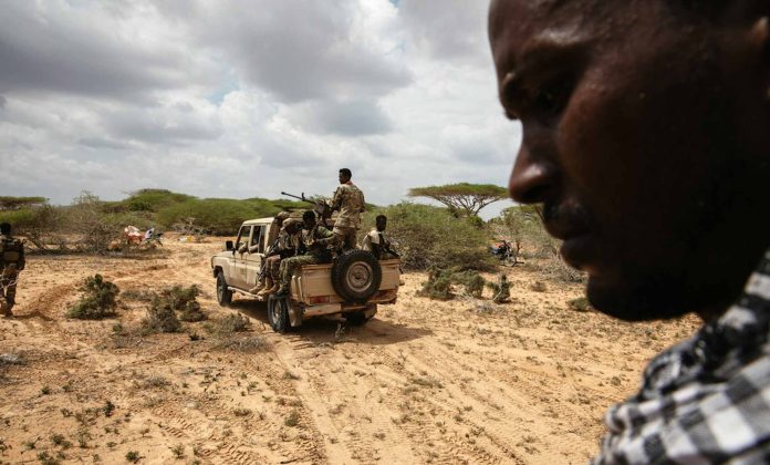 Somalia's govt says army recaptured Eldher town after brief Al-Shabaab takeover Somalia