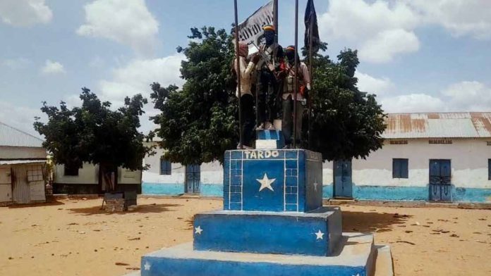 Al-Shabaab captures Tardo town in Somalia's Hiran region   Somalia
