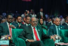 Somalia’s president says Al-Shabaab instructing members to seek national IDs Somalia, Ethiopia, Egypt