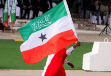 Somaliland could be a game-changer in Israel’s war with Houthis, Israeli think tank says Somaliland